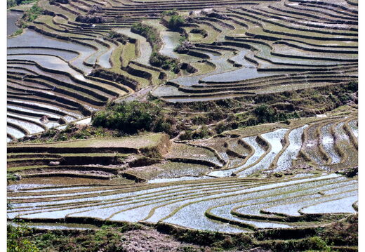 Paysages du monde...